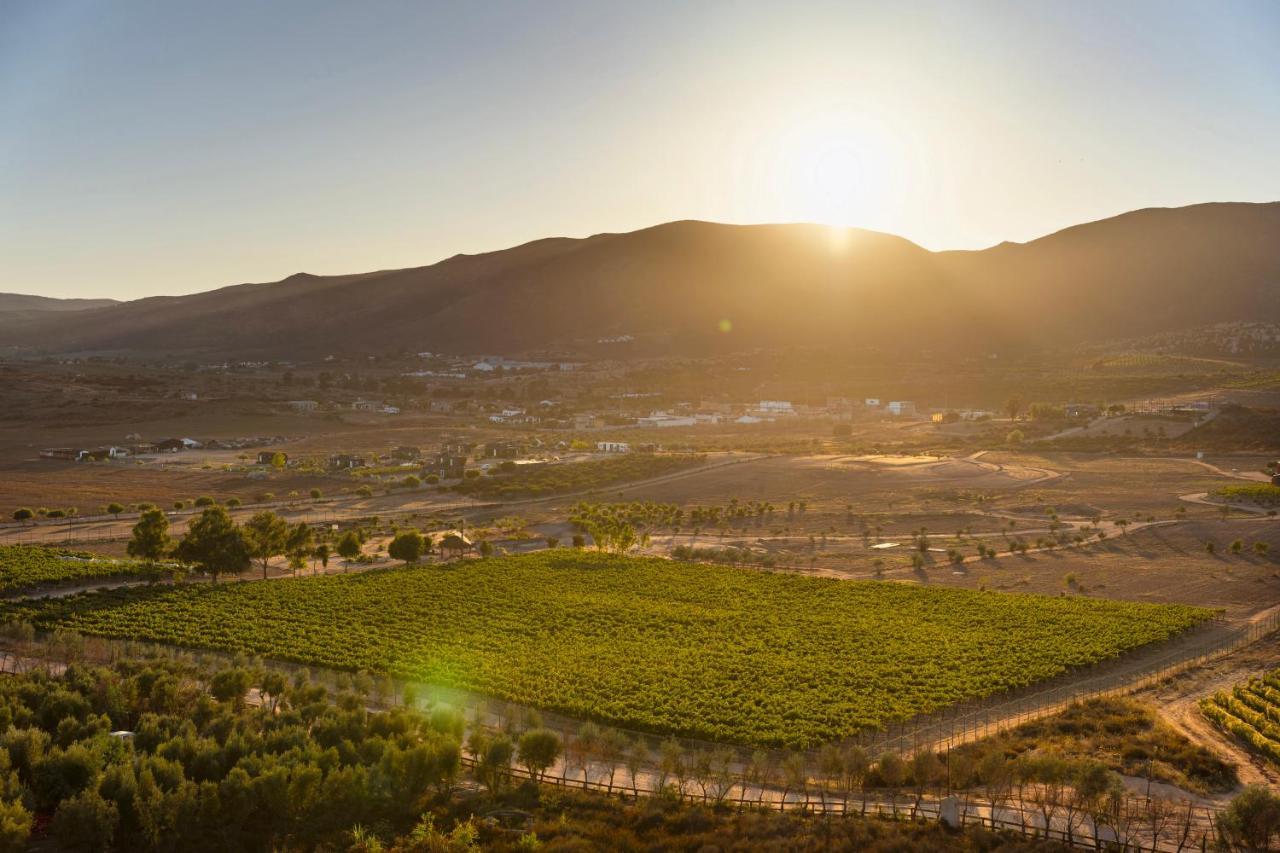 Banyan Tree Veya, Valle De Guadalupe - A Wellbeing & Wine Resort ภายนอก รูปภาพ
